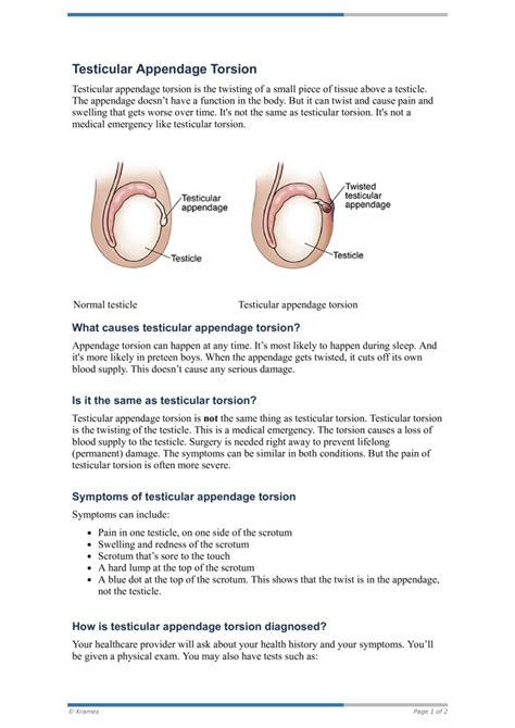 testicular torsion workbook pdf